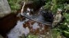 Colombia: 655 ataques a oleoductos