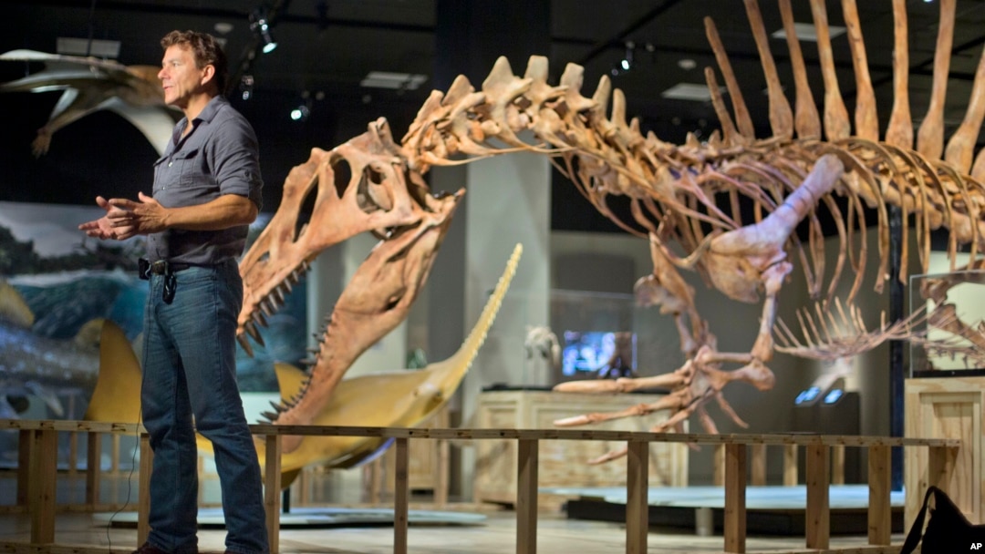 Paleontologists Paul C. Sereno in front of a model of a Spinosaurus