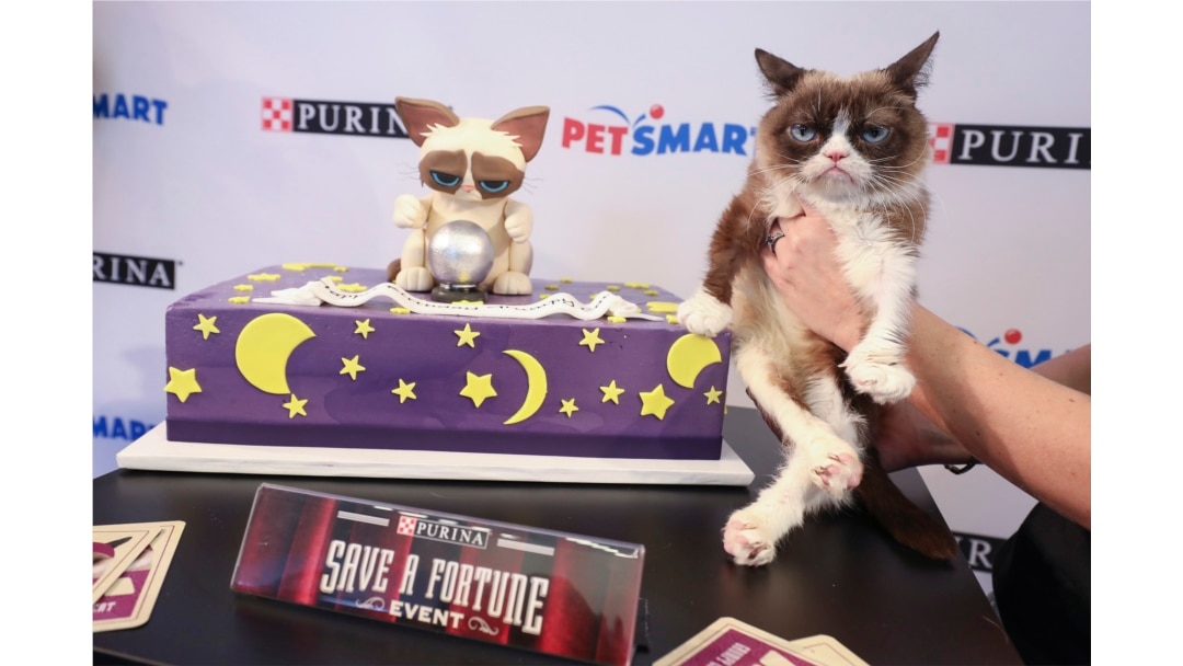 Grumpy Cat celebrated her sixth birthday in New York City, April 2018. (Purina)