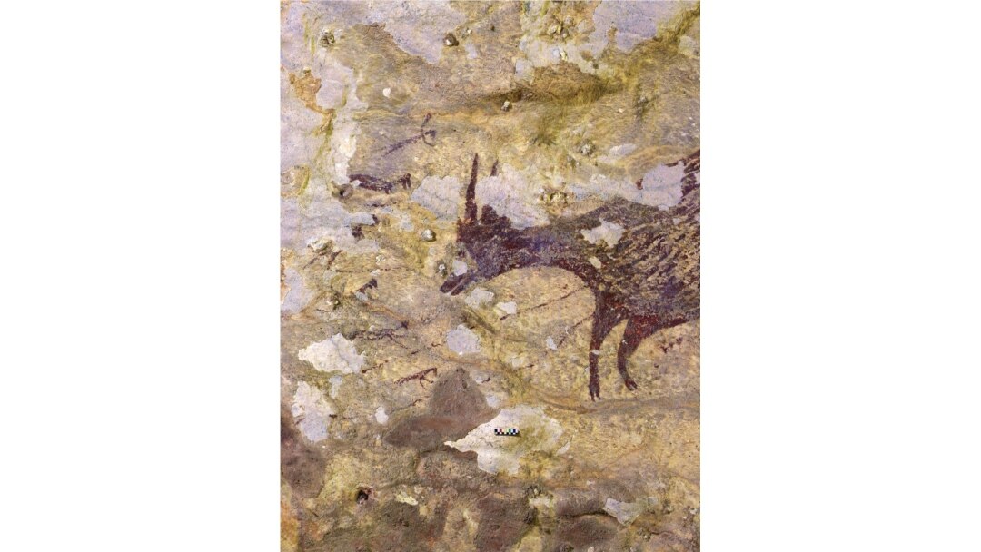 A cave painting dating back to nearly 44,000 years, according to a study using uranium-series analysis and was published in 'Nature' journal, is seen in Leang Bulu' Sipong 4 limestone cave in South Sulawesi, Indonesia.