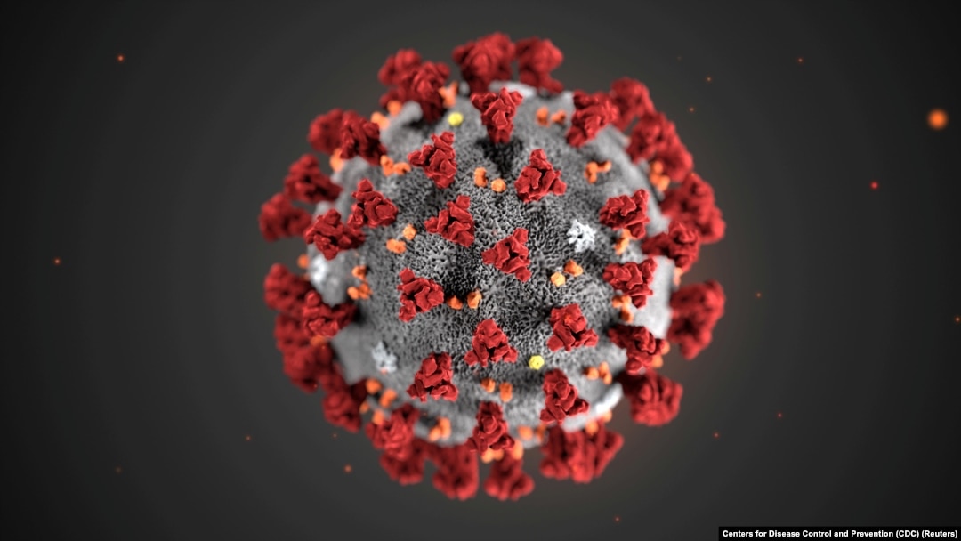 The ultrastructural morphology exhibited by the 2019 Novel Coronavirus
