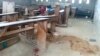 UN Rights Office Condemns 'Merciless' Attack on Cameroon School