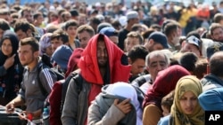 Migrants and refugees waiting for buses after crossing the border between Hungary and Austria in Nickelsdorf, Austria 70 kilometers (43 miles) southeast of Vienna, Sunday, Sept. 13, 2015. (AP Photo/Ronald Zak) 