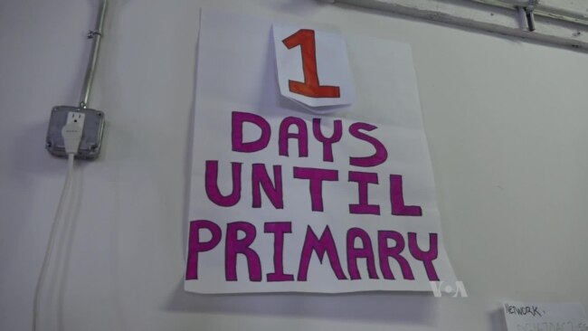 Volunteers for Democrat Bernie Sanders work at a New York campaign office