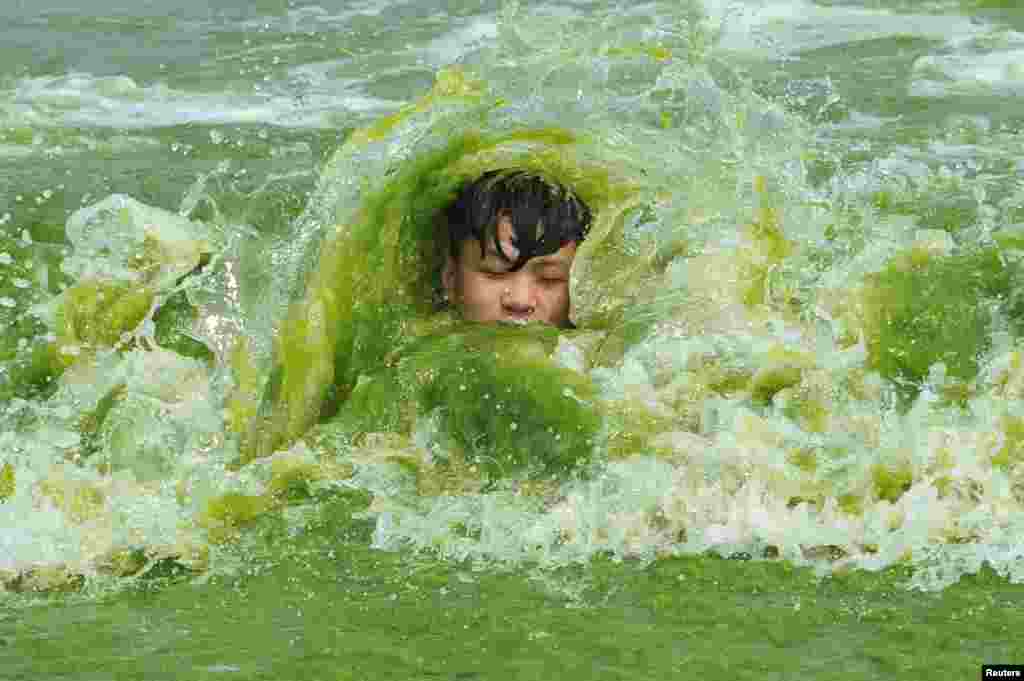 A boy swims in algae-filled water at a beach in Qingdao, Shandong province, China, July 18, 2016.