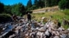 Study: Heatwaves Can Force Ocean Life to Flee Great Distances