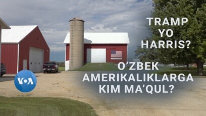 O'zbek amerikaliklar kimga ovoz bermoqda? 