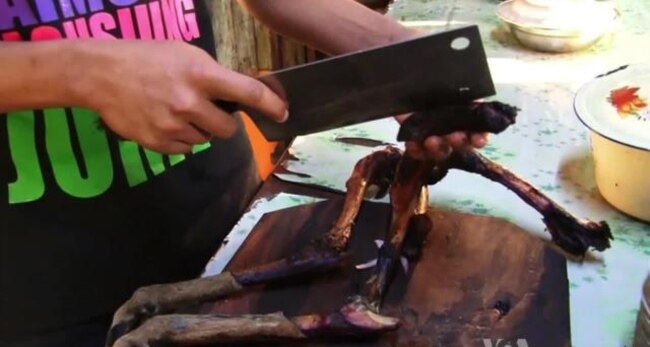 Burma Struggles to Crack Down on Wildlife Consumption