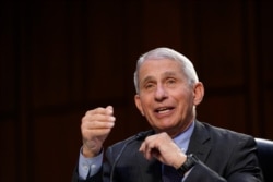 ARCHIVO - El doctor Anthony Fauci, director del Instituto Nacional de Alergias y Enfermedades Infecciosas de EE.UU., testifica ante una comisión del Senado sobre la respuesta federal al coronavirus. Washington, marzo 18 de 2021.