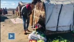 África Agora: Em Cabo Delgado, “é crucial investir na educação”, Moreira Chonguiça