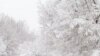Ofertas invitan a desafiar la nieve