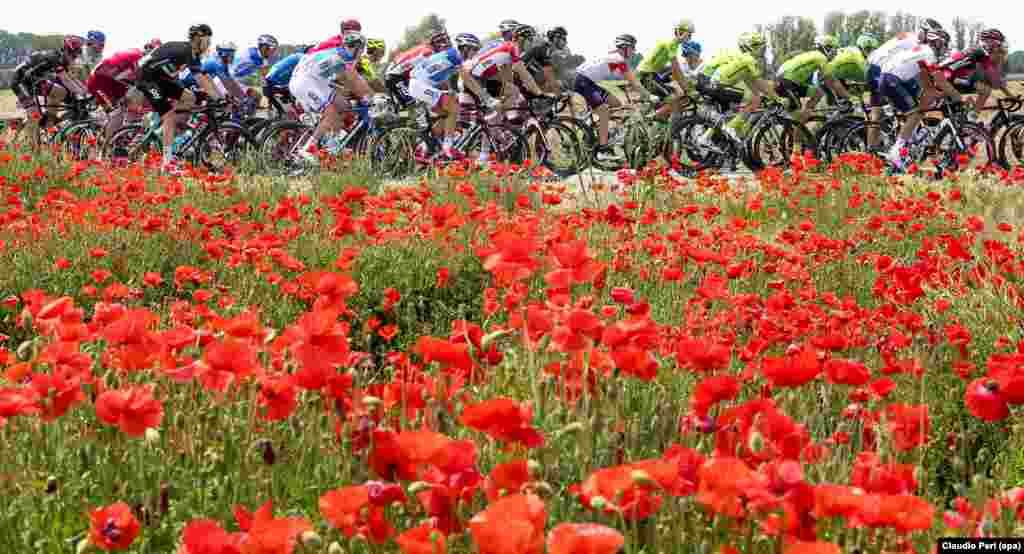 The peloton is on the way during the 11th stage of the Giro d'Italia cycling race over 227km from Modena to Asolo, Italy.