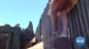 Ballet Performed in South Africa for Rhinos