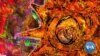 Art Exhibit Highlights Impact of Climate Change
