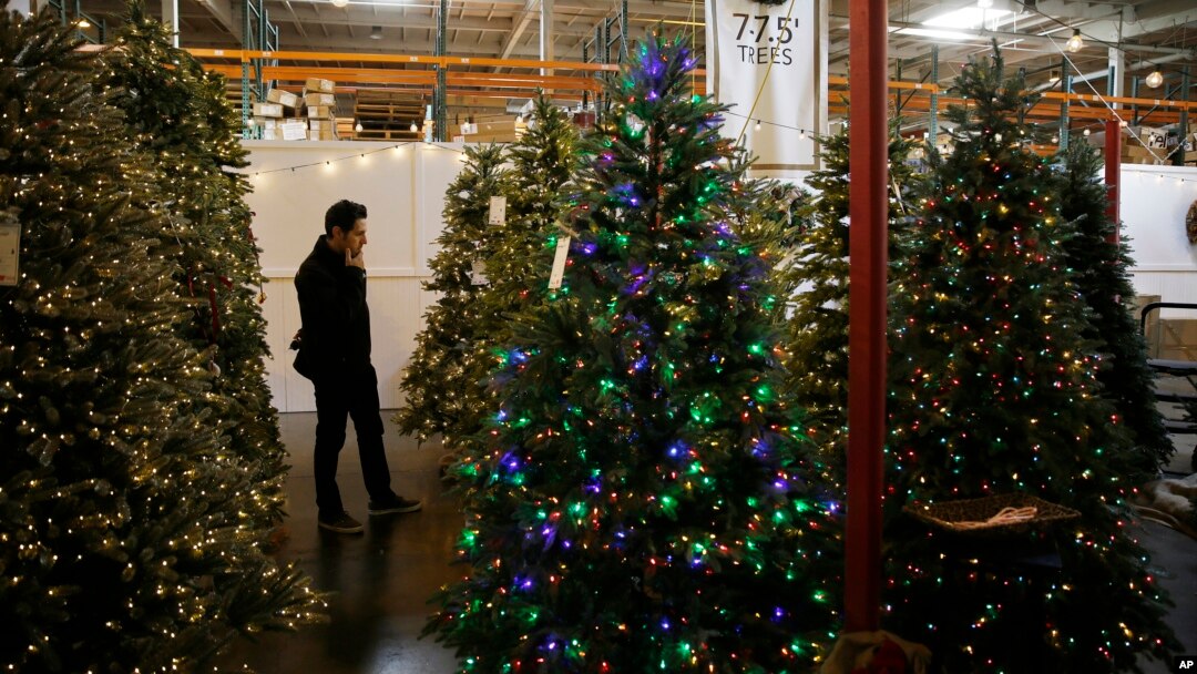 In this Friday, Nov. 30, 2018, photo, a man looks at artificial Christmas trees for sale at the Balsam Hill Outlet store in Burlingame, Calif. (AP Photo/Eric Risberg)