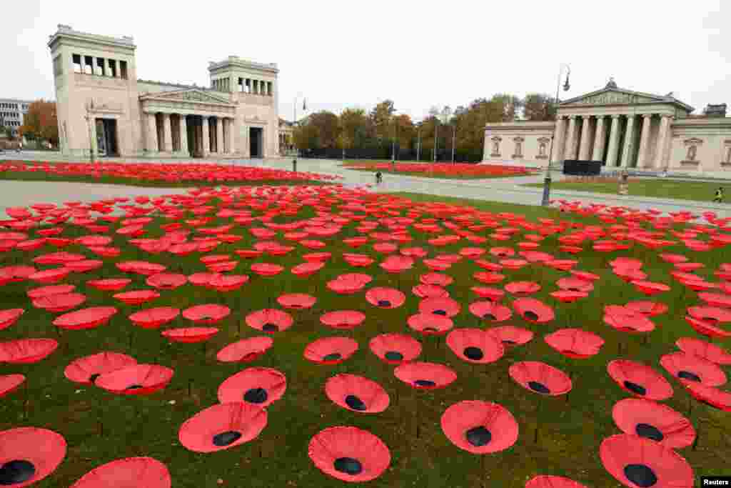 Poppy flowers are seen at Koenigsplatz in Munich, Germany, No. 3, 2018, as Europe prepares to mark the centenary of the ending of World War I.
