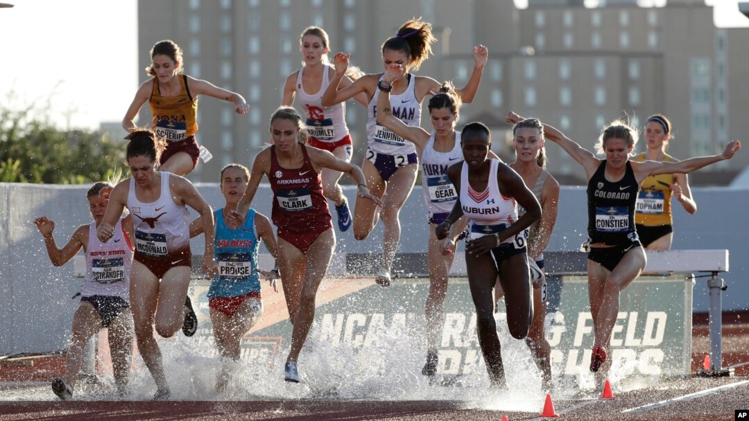 Runners compete in a preliminaries of the women's 3,000-meter steeplechase during the NCAA outdoor track and field championships in Austin, Texas, Thursday, June 6, 2019. (AP Photo/Eric Gay)